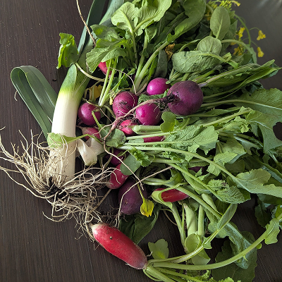 Vegetables grown by your workshop host, Lauren